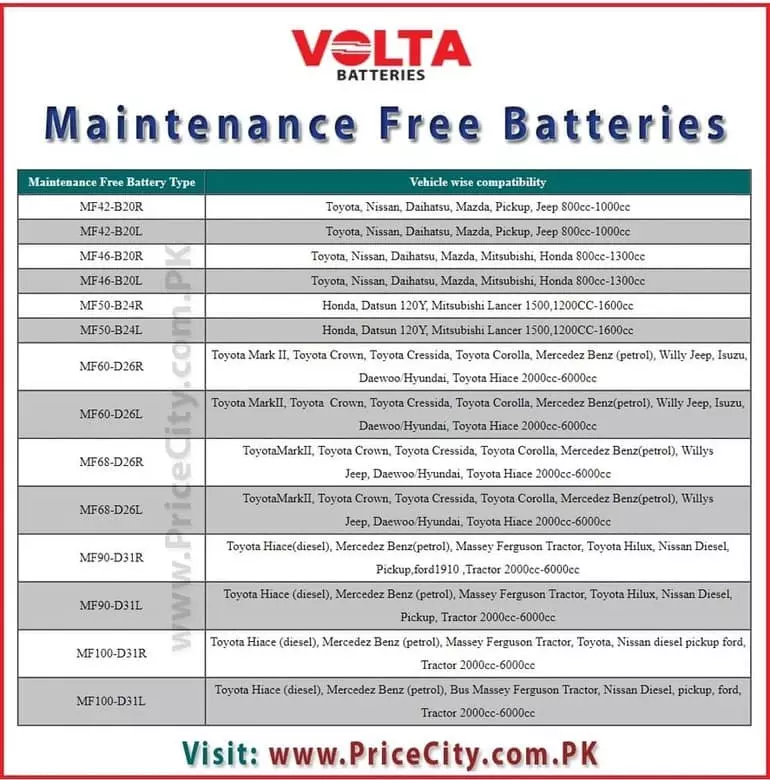 Volta Maintenance Free Battery
