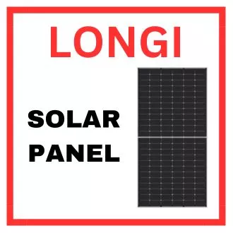 Longi Solar Panel